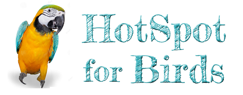HotSpot for Birds Logo